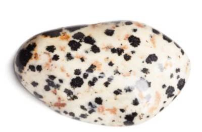 The Spotted Gem of Wellness: Discovering the Dalmatian Stone’s Healing Properties and Spiritual Significance